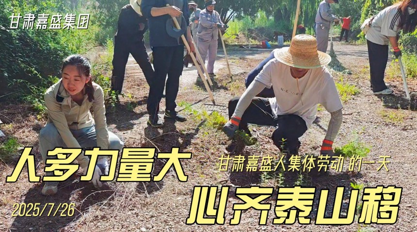 记录嘉盛员工的一天——员工义务劳动侧记
